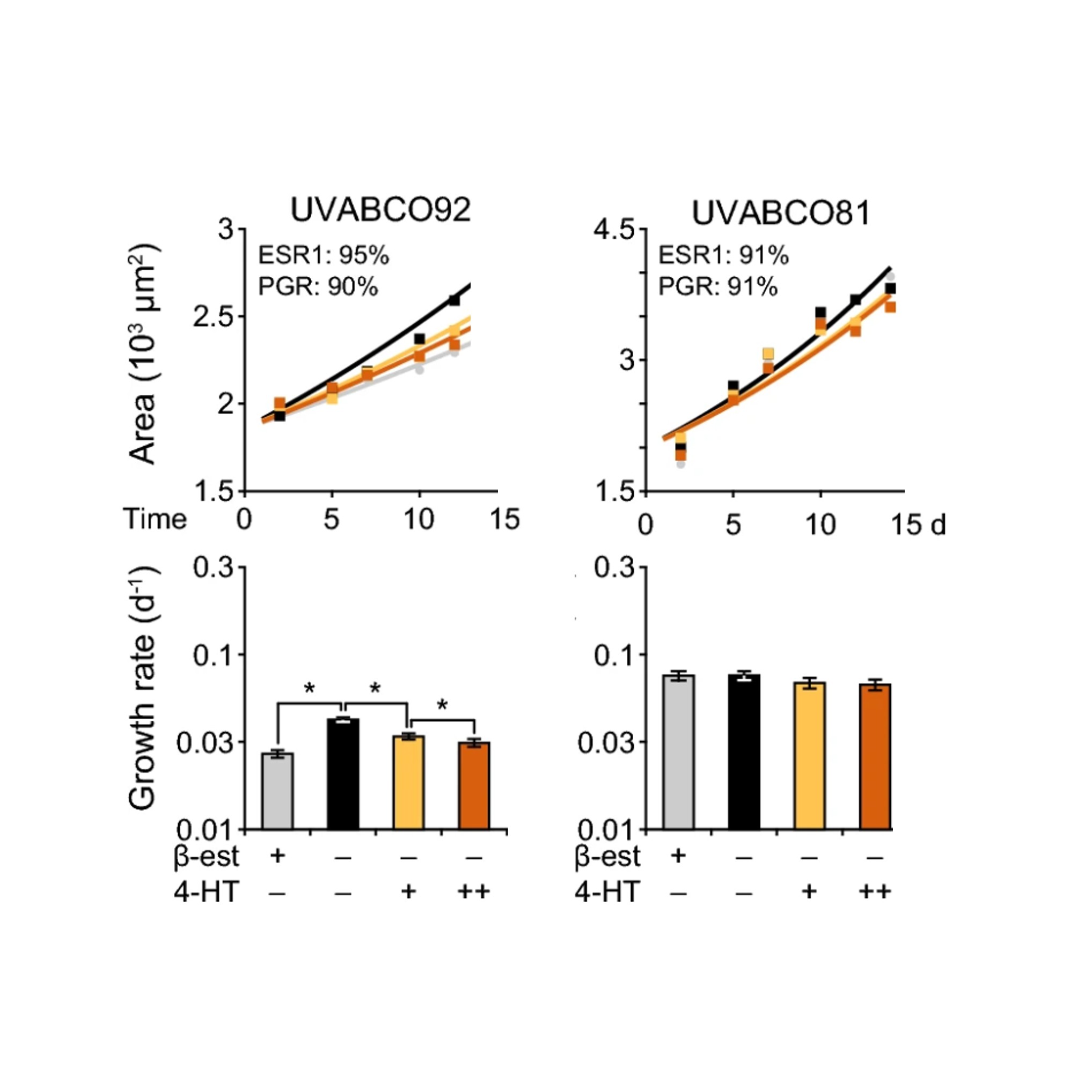 Patient-Centered Breast Cancer Research