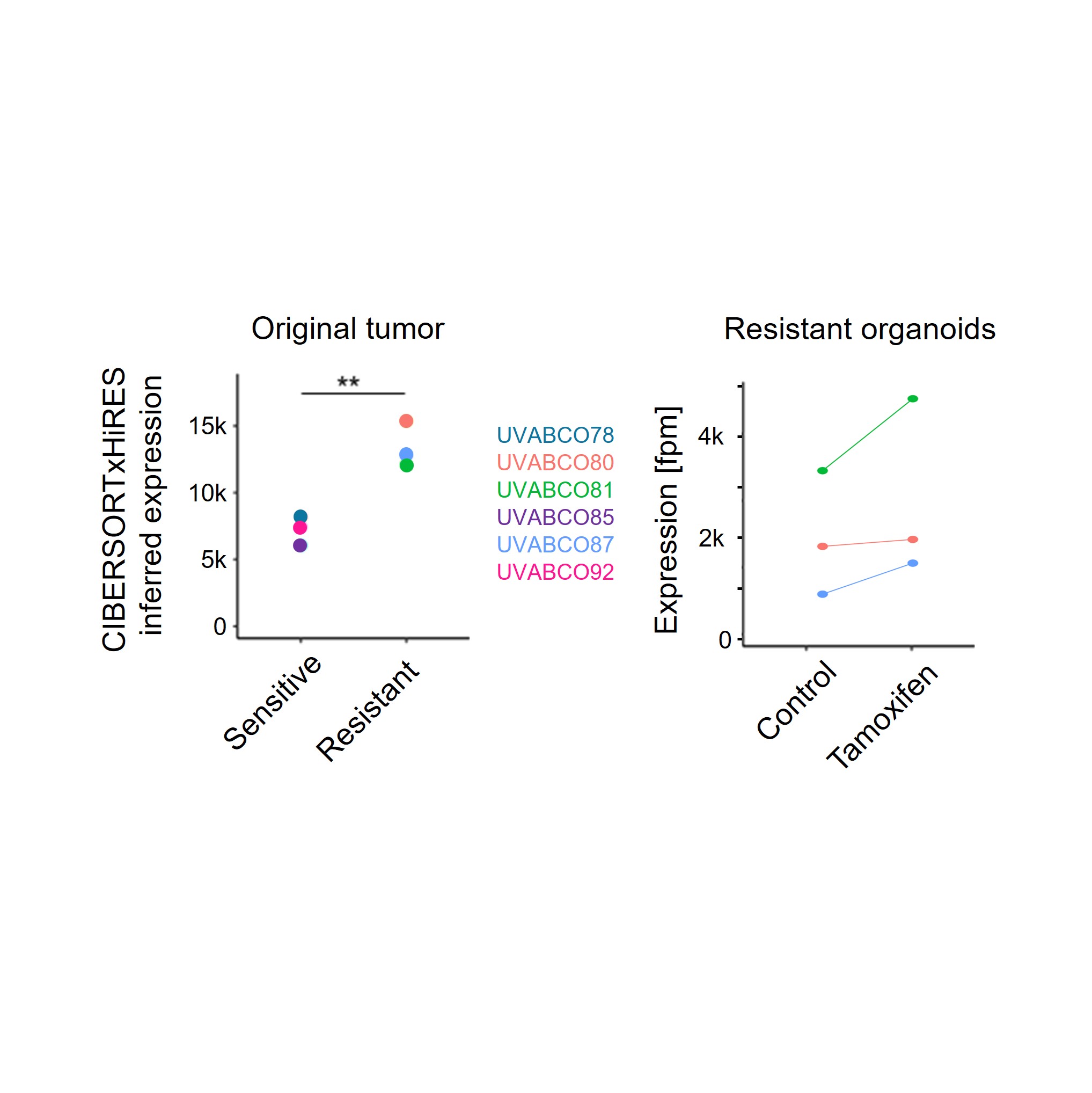 LncRNA Regulators of Transcriptional Plasticity and Treatment Resistance
